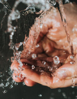 Bilde viser en person som vasker hendene og har god hygiene